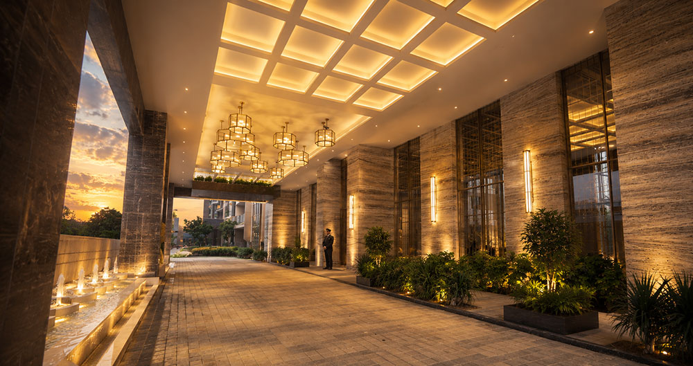 The Amaryllis – Phase 3